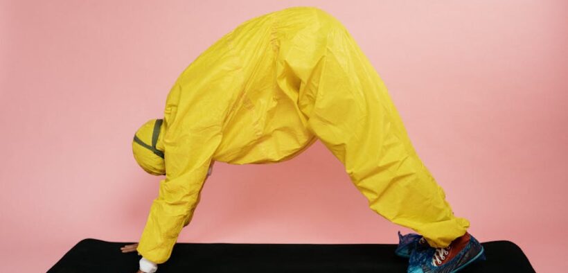 Preventive spine health habits for dogs safe exercise