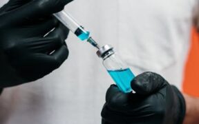 Preventing motion sickness in dogs safe preparation tips