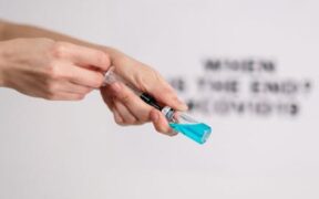 Vaccinating puppies during seasonal outbreaks safe guidelines