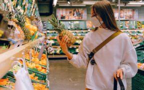 Adult dog nutrition basics preventive health approach