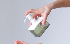 Preventive care for hairless cats skin health and hygiene