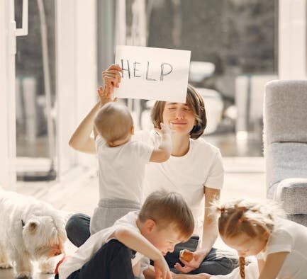 Dog diarrhea after boarding or daycare digestive signs