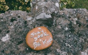 Preventing heatstroke in cats safe summer care