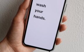 Puppy proofing your home for safety and prevention