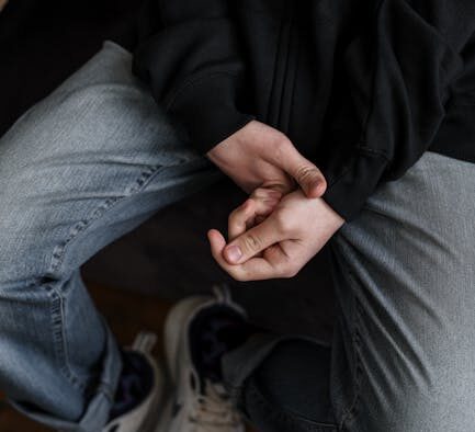 Anxiety in adolescent dogs