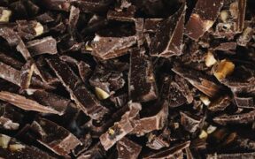 Cocoa nibs toxicity pets