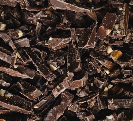 Cocoa nibs toxicity pets