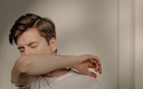 Preventive care essentials for apartment cats