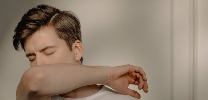 Preventive care essentials for apartment cats