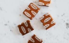 Bouillon cubes toxicity cats