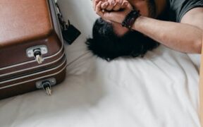 Moving anxiety in cats