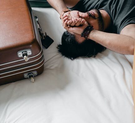 Moving anxiety in cats