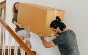 Cat vaccination needs adjusted for moving or relocation