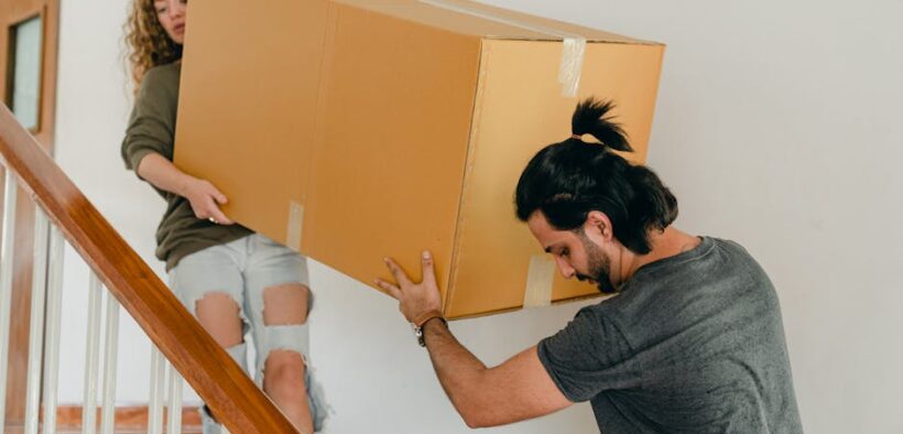 Cat vaccination needs adjusted for moving or relocation