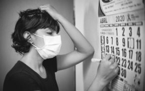 Preventing stress colitis in dogs through routine stability