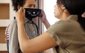 Cat heart murmur common reasons and care guidance