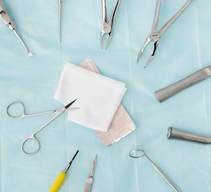 Feeding guide for dogs recovering from dental surgery