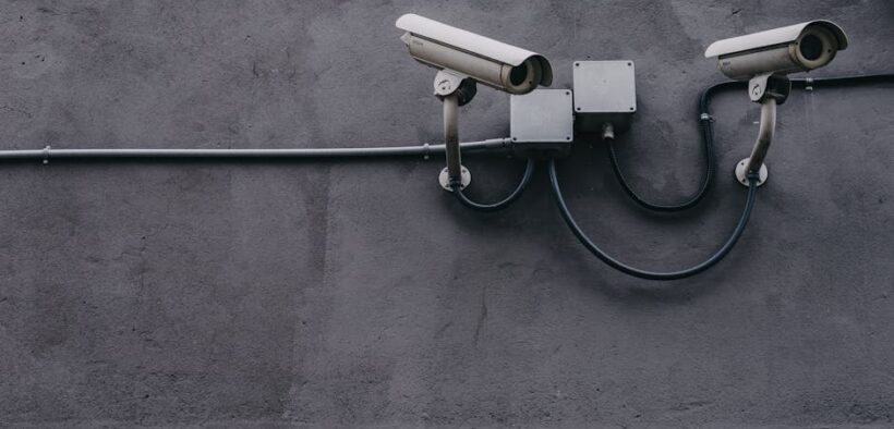 Preventing eye issues in cats safe routine monitoring