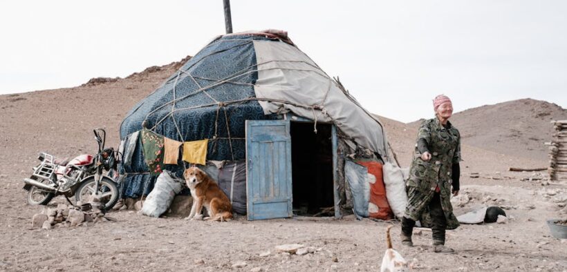 Parasites in senior dogs home care and when it is an emergency