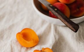 Apricot pit toxicity dogs