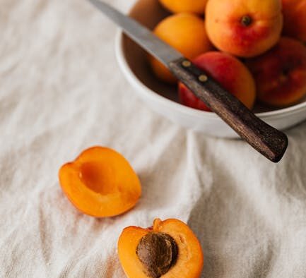 Apricot pit toxicity dogs