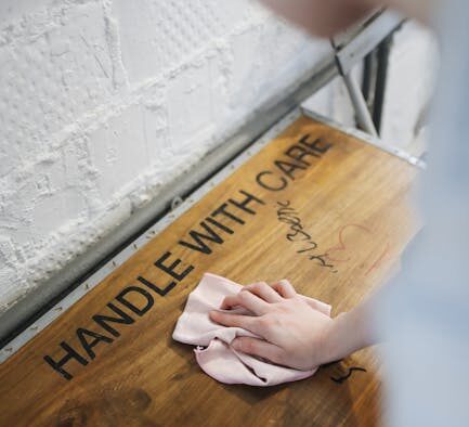 How to recognize parasites in indoor cats and early warning signs at home