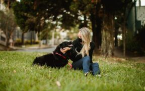Gentle grooming talks to calm pets