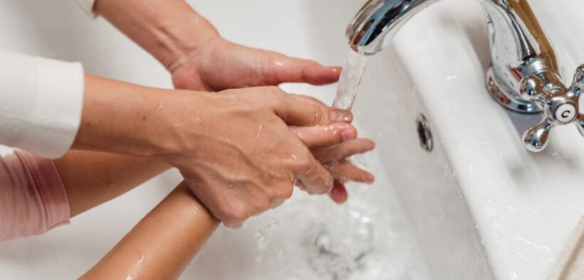 Preventing ear issues in cats daily habits that help