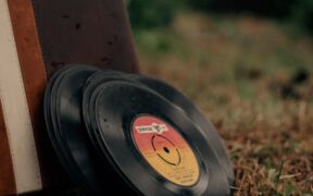 Dry breathing sound pets