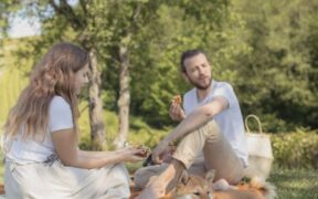 Dogs Reacting When Another Pet Approaches Food