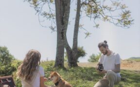 Dog stomach making loud noises and refusing food