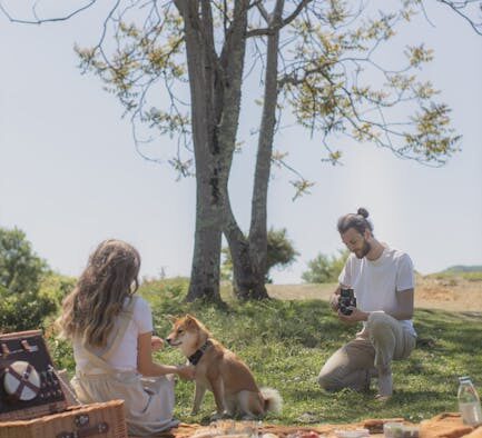 Dog stomach making loud noises and refusing food