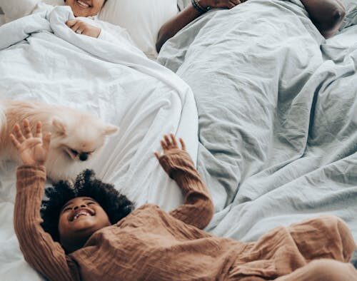 Dog limping in the morning causes symptoms and care