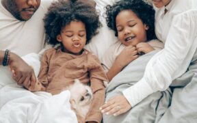 Pet dental care observation during cuddle time