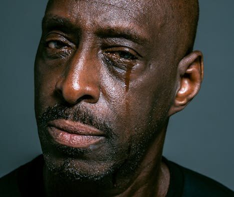 Understanding Your Pet’s Mouth