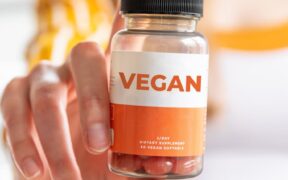 Supplements for dogs on vegetarian diets