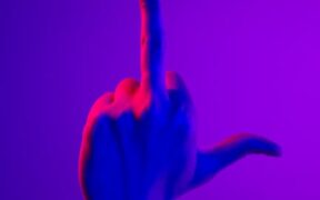 Aggressive behaviour signs in dogs