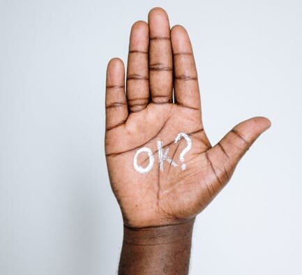 Body Language Before Aggression in Cats