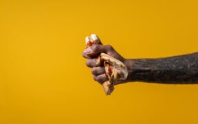 Dog appetite loss following a day of diarrhoea