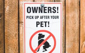 Leptospirosis vaccine information for dog owners