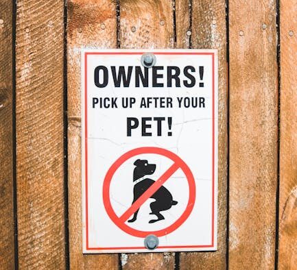 Leptospirosis vaccine information for dog owners