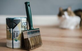 Cat chewing plastic and showing digestive symptoms