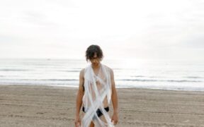 Preservatives harmful for dogs