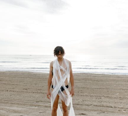 Preservatives harmful for dogs