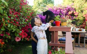 Cat coughing when excited