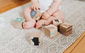 Preventive safe toys for cats mental stimulation