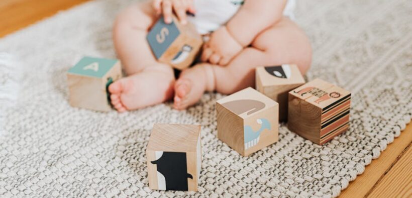 Preventive safe toys for cats mental stimulation