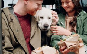 Pet dental care without food advice