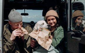 Toxic holiday foods for pets