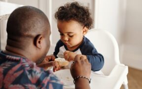 Feeding guide for high stress households